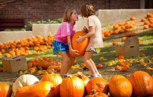 jwj-pumpkins-023