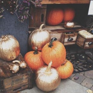 pumpkins-how-do-you-decorate-yours-L-N0xPRP