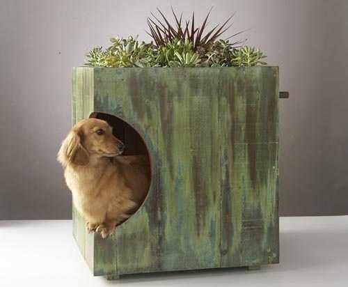 dog-cat-beds-pet-design-ideas-8