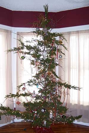 cheap-christmas-tree-2